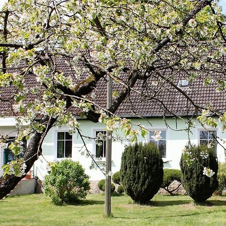 Pension Gestuet Lindenhof Templin Eksteriør billede