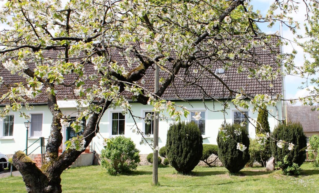 Pension Gestuet Lindenhof Templin Eksteriør billede